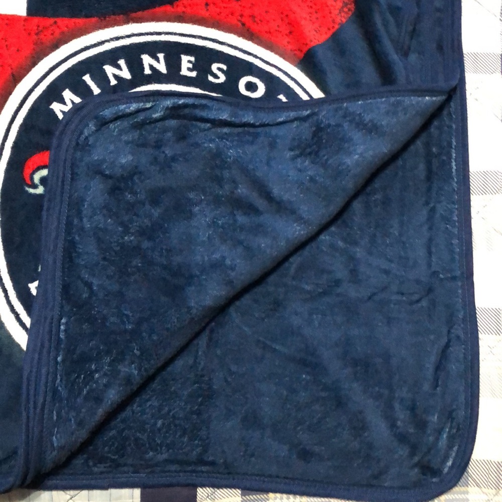 MLB Minnesota Twins Micro Raschel Throw - Picture 3 of 7